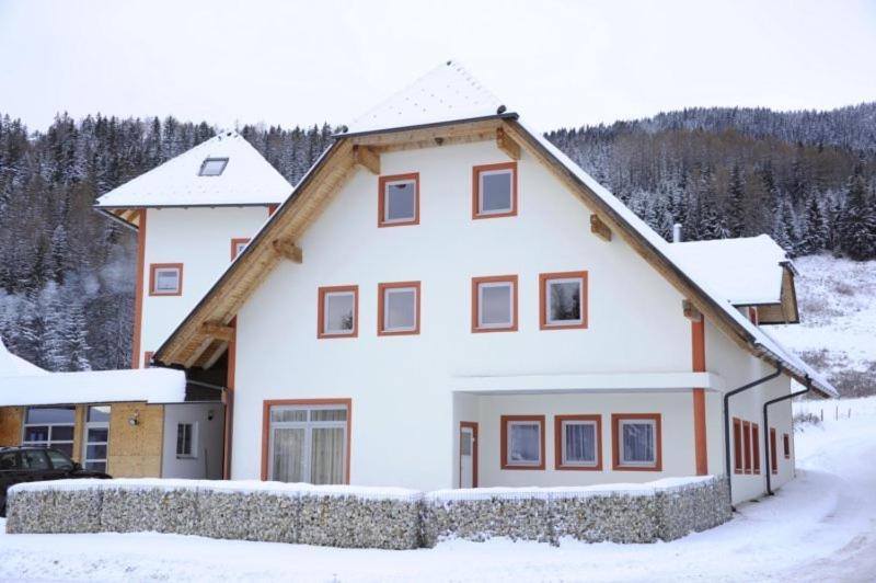 Appartementhaus Hochegg Lachtal Luaran gambar